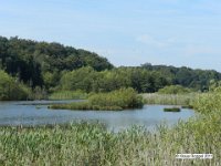 See bei Fresdorf (Brandenburg)